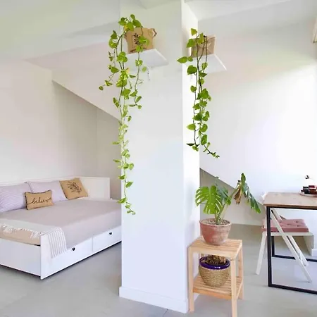 Denize 100 Metre Yakinlikta Plaj Evi *