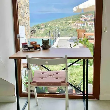 Denize 100 Metre Yakinlikta Plaj Evi Milas