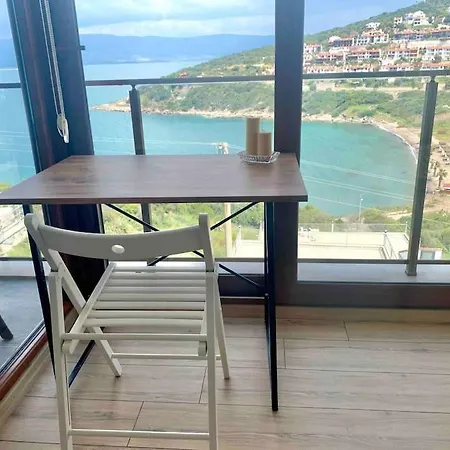 Denize 100 Metre Yakinlikta Plaj Evi Milas